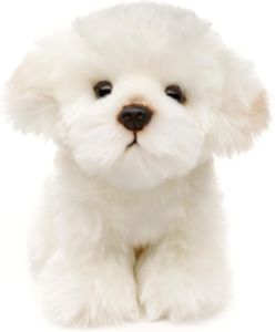 Perrito Maltés Peluche Foto Foto de perrito maltes